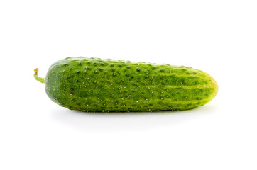 Fresh cucumber  isolated on white background