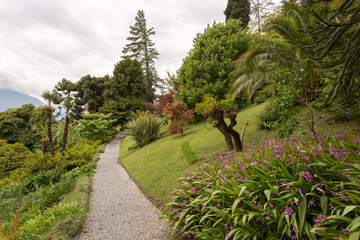 Fototapeta na wymiar Jardin luxuriant, palmier et fleurs