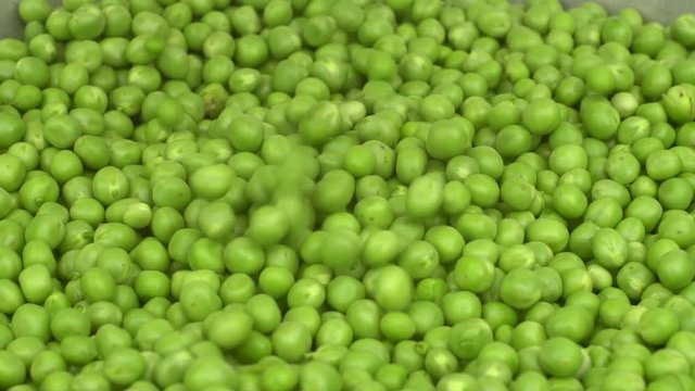 Green Peas, Slow Motion