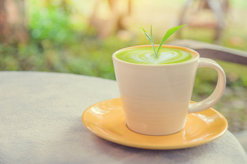 Hot green tea latte  with Trees growing on the wooden table in the garden with sunshine background.