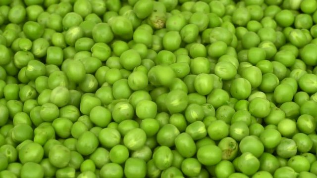 Green Peas, Slow Motion
