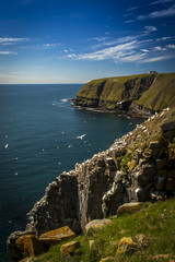 Cape St. Mary's Ecological Reserve,  located near Cape St. Mary's on the Cape Shore, on the southwestern Avalon Peninsula of Newfoundland & Labrador