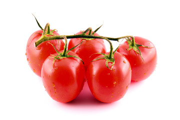 Branch of fresh red tomatoes on isolated white backround