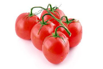 Branch of fresh red tomatoes on isolated white backround