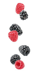 Isolated berries. Falling blackberry and raspberry fruits isolated on white background with clipping path