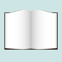 Open Book vector icon
