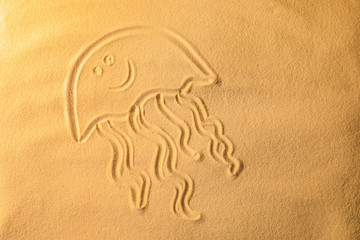 Jelly-fish drawn on sea sand, closeup view