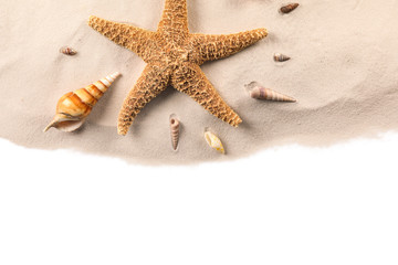 Fototapeta na wymiar Sand with shells isolated on white