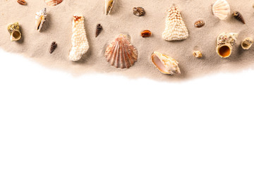 Sand with shells isolated on white