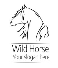 Hand drawn vector illustration of wild horse head