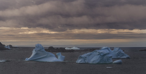  IceBergs, Durrell, Twillingate,New world Island Newfoundland & Labrador