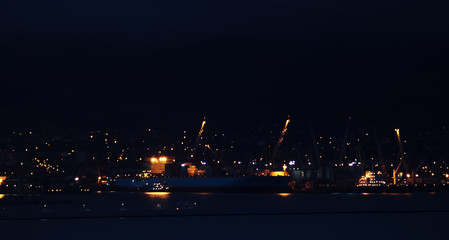 Fototapeta na wymiar Night panorama of the seaport