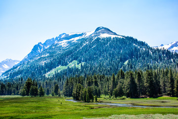 Fototapeta na wymiar Mountain with Glacier in the summer at California