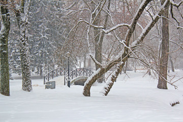bridge in the winter park