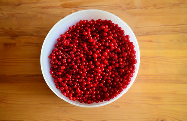 Red Currants in a white purple plastic bowl, top view