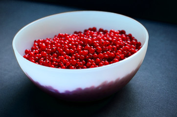 Red Currants in a white purple plastic bowl, top view