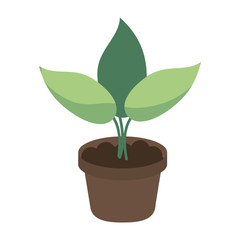 plant sprout icon image