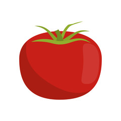 fruit icon image