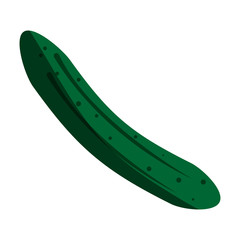 vegetable icon image