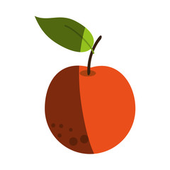 fruit icon image