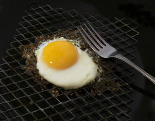 Cage Free Egg DSC_7292