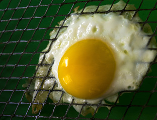 Cage Free Egg DSC_7313