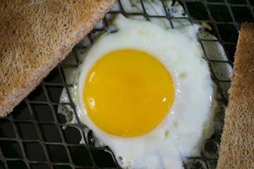 Cage Free Egg DSC_7302