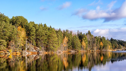 A beautiful image of a forest lake in Tyresta National park in autumn