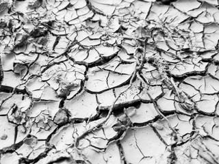 Cracked earth close up macro texture