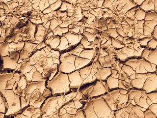 Cracked earth close up macro texture