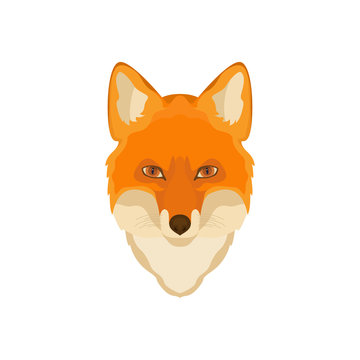 Orange Fox head. Vector image. Wild animal, wildlife, hunting, zoo.