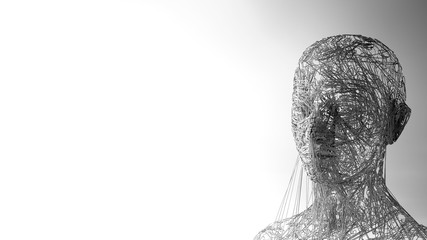 Face portrait. 3D wireframe head