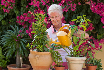 active retiree gardener watering plants