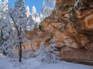 Hiking Sedona - winter