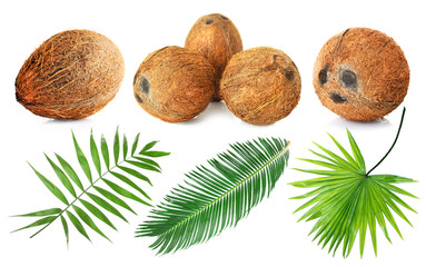 Coconuts and palm leaves on white background © Africa Studio