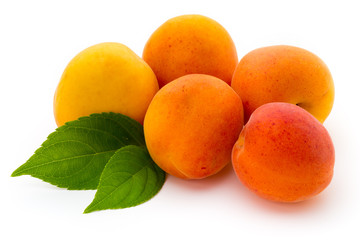 Apricots.