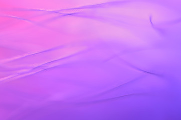 Pink purple abstract background from bird feathers. Feather closeup. Beautiful lines and curves.