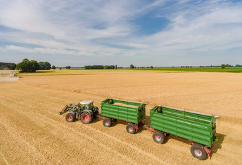 Getreideernte - Traktor mit Getreideanhänger auf dem Feld, Luftbild