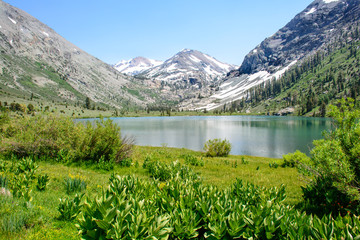 Glacier Mountain with Lake in the Summer with green