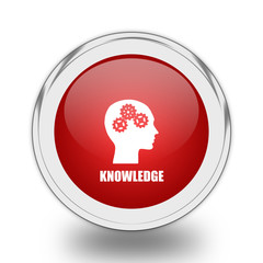 Knowledge icon.