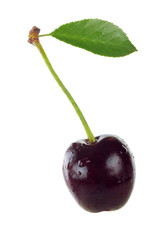 cherry with leaf isolated