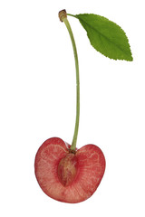 slice of cherry isolated