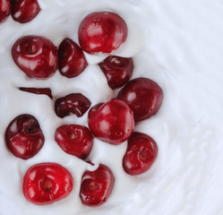 Cherry in cream isolated