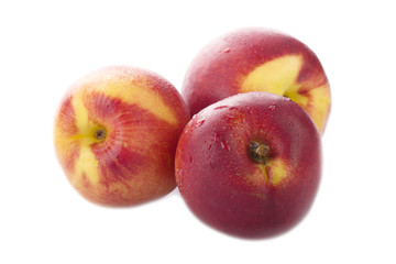 Nectarines isolated