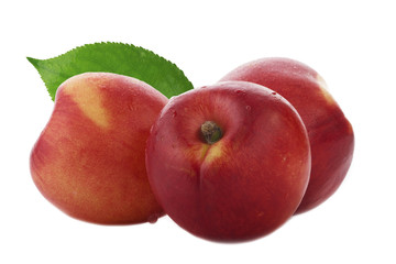 Nectarines isolated