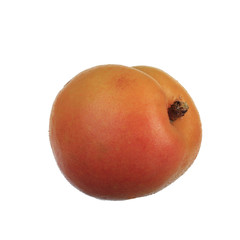 Ripe apricot Isolated on White Background
