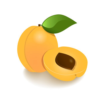 Set fruit icons with the image of apricot