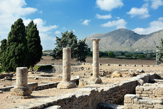 Roman Remains of Pollentia, Alcudia