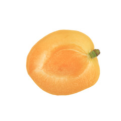 apricot slice isolated