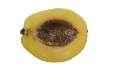 yellow apricot fruit isolated on white background.